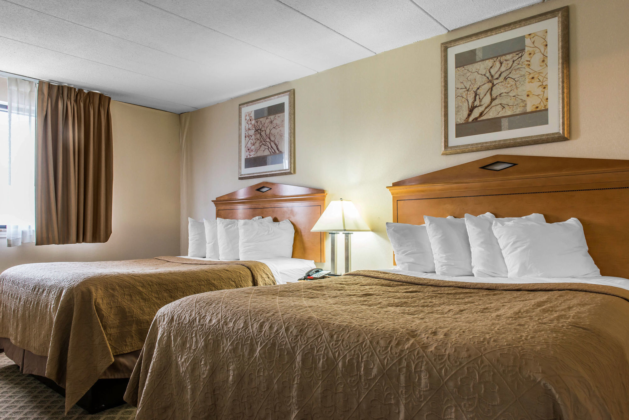 Quality Inn & Suites Fairview  Bilik gambar